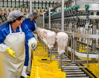 Єврокомісія оцінить систему держконтролю за виробництвом м’яса птиці в Україні